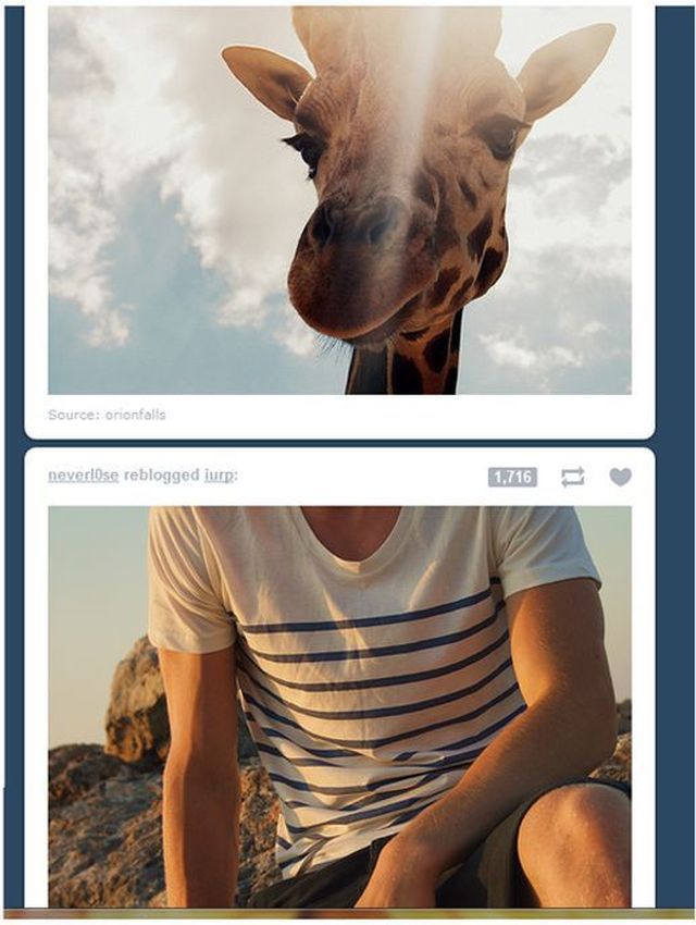 Coincidences (32 pics)