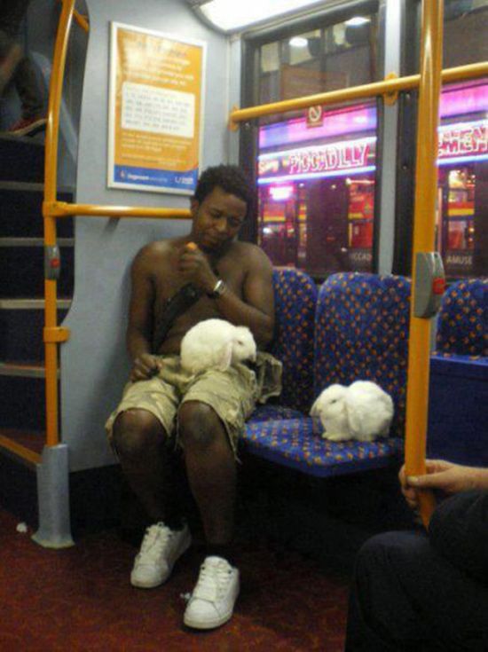 Public Transport Pictures (39 pics)