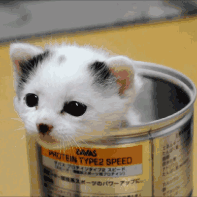 Acid Gifdump (25 gifs)