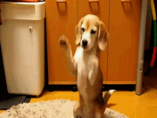 Acid Gifdump (25 gifs)