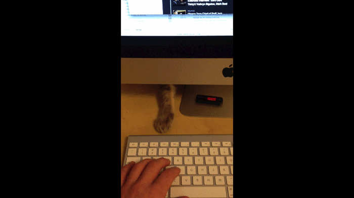 Acid Gifdump (25 gifs)