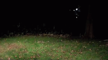 Acid Gifdump (25 gifs)