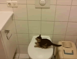 Acid Gifdump (25 gifs)