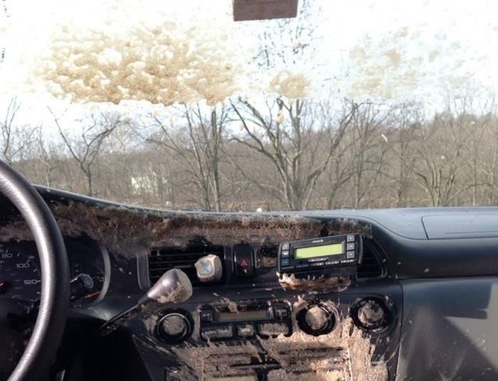 Can of Soda Inside a Frozen Car (3 pics)