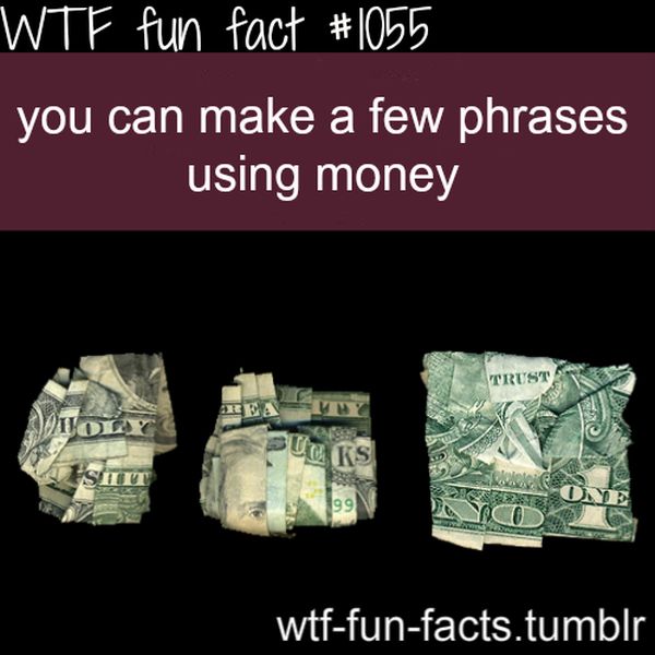 WTF Fun Facts (45 pics)
