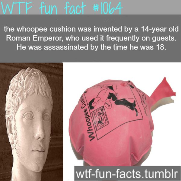 WTF Fun Facts (45 pics)