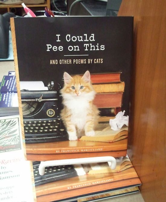 Poems by Cats (9 pics)