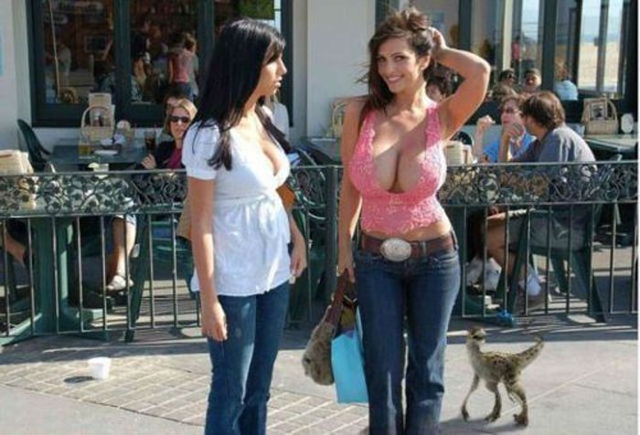 Look Again (44 pics)