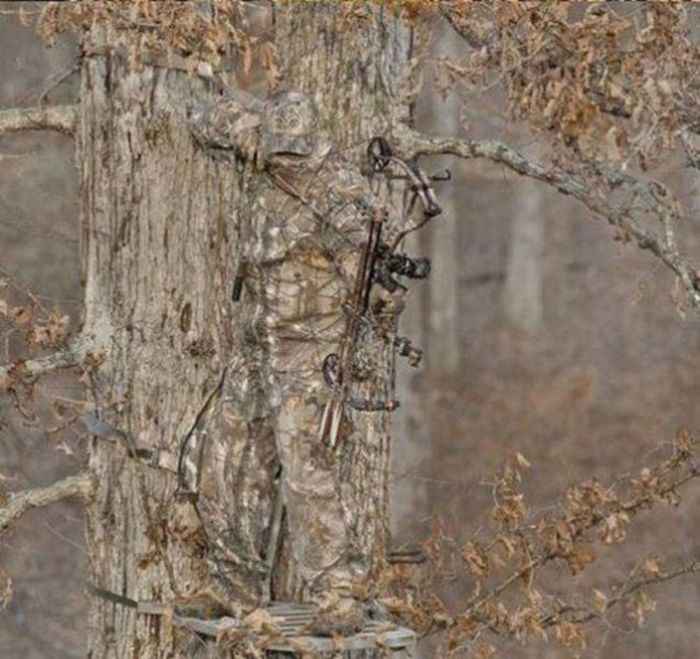 Look Again (44 pics)