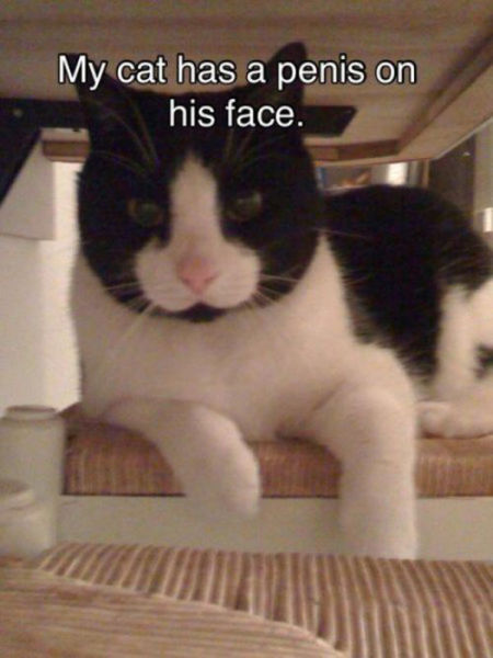 Look Again (44 pics)