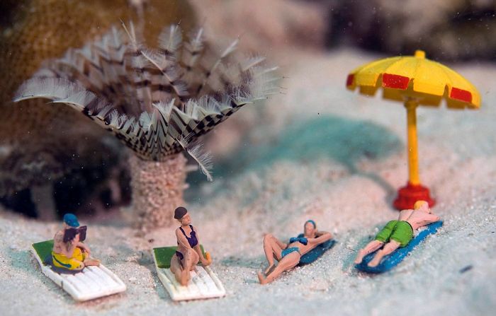Toy Figures in Underwater Scenes (20 pics)