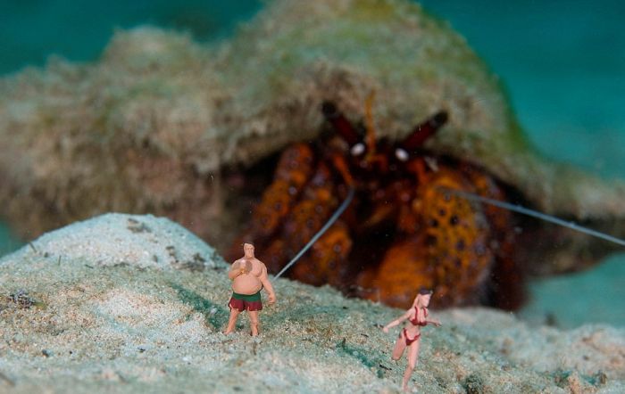 Toy Figures in Underwater Scenes (20 pics)