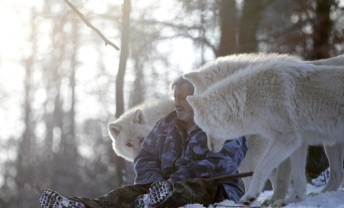 Dining with Wolves (15 pics)