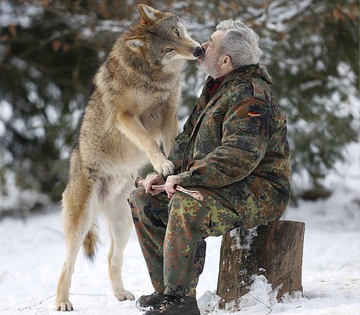 Dining with Wolves (15 pics)