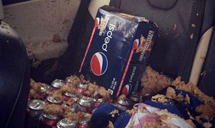 Never Leave Cans of Soda in Your Car... (3 pics)