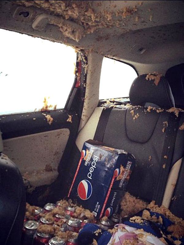 Never Leave Cans of Soda in Your Car... (3 pics)