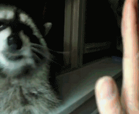 Acid Gifdump (25 gifs) Jan. 29, 2013
