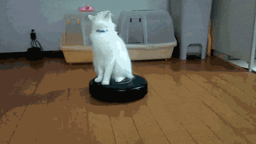 Acid Gifdump (25 gifs) Jan. 29, 2013
