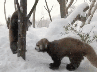 Acid Gifdump (25 gifs) Jan. 29, 2013