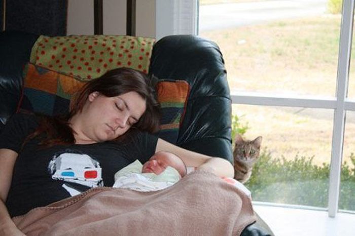 Photobombs. Part 25 (40 pics)