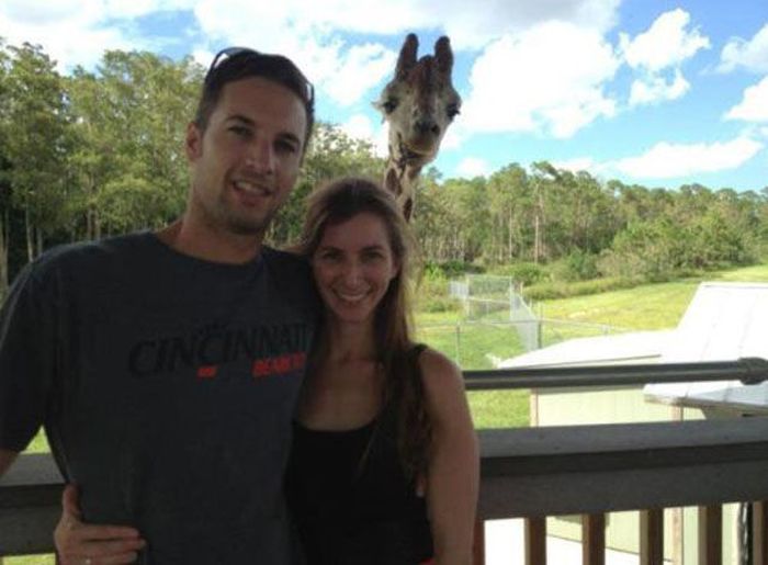 Photobombs. Part 25 (40 pics)