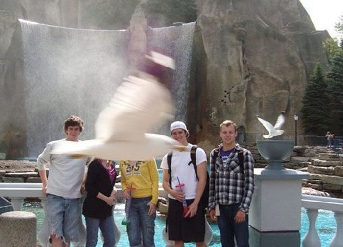 Photobombs. Part 25 (40 pics)