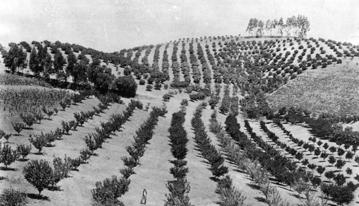 This Is What Hollywood Used To Look Like (30 pics) This Is What Hollywood Used To Look Like (30 pics)