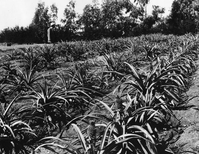 This Is What Hollywood Used To Look Like (30 pics) This Is What Hollywood Used To Look Like (30 pics)