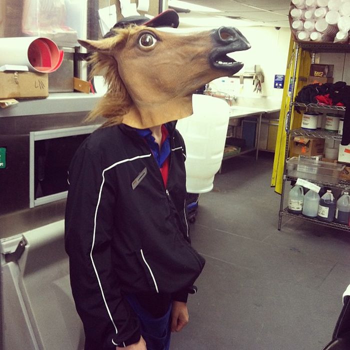 Horsing Around (38 pics)