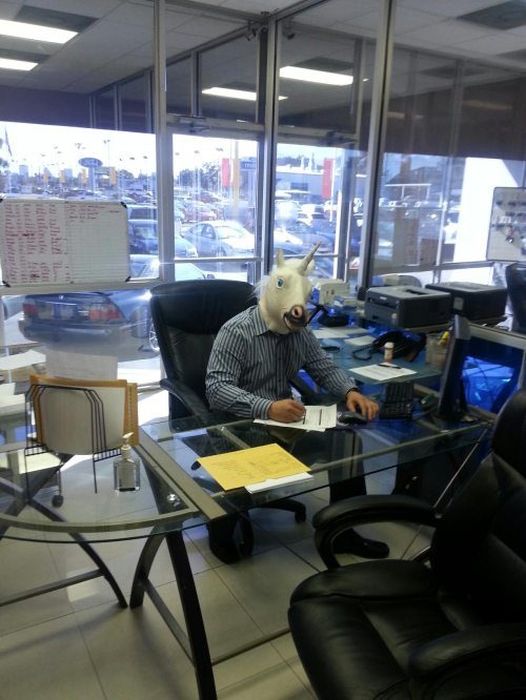 Horsing Around (38 pics)