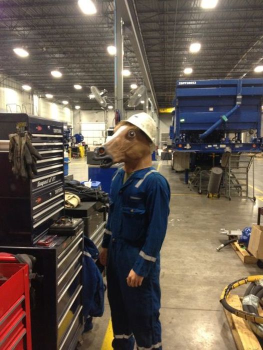 Horsing Around (38 pics)