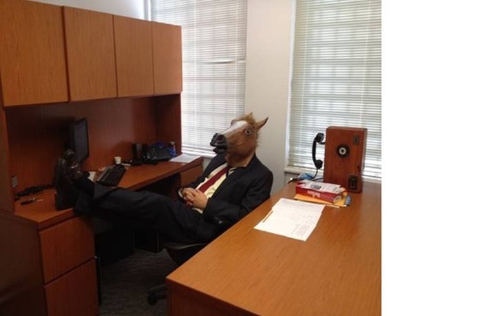 Horsing Around (38 pics)