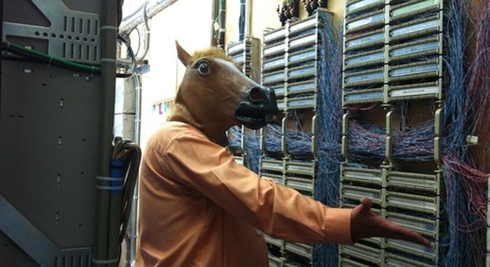 Horsing Around (38 pics)