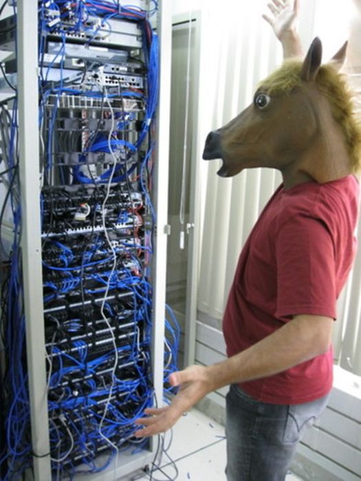 Horsing Around (38 pics)