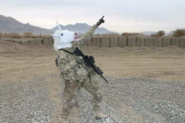 Horsing Around (38 pics)