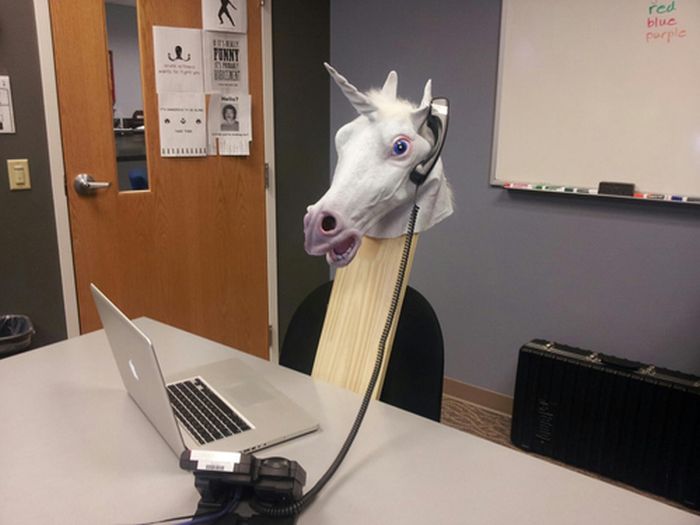 Horsing Around (38 pics)