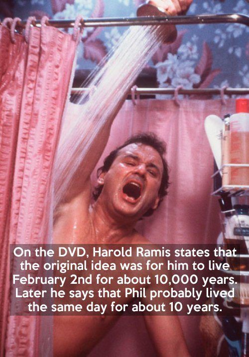 Interesting Groundhog Day Facts (15 pics)