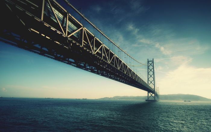 Beautiful Bridges (101 pics)