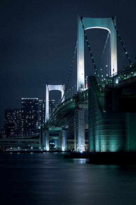 Beautiful Bridges (101 pics)
