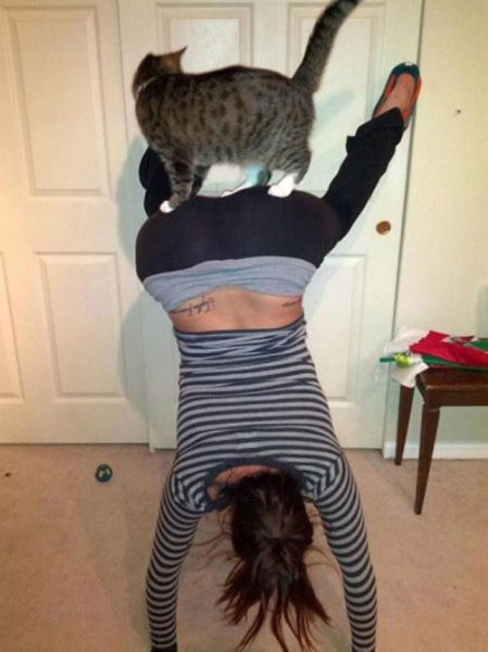 It Doesn't Make Sense (49 pics)