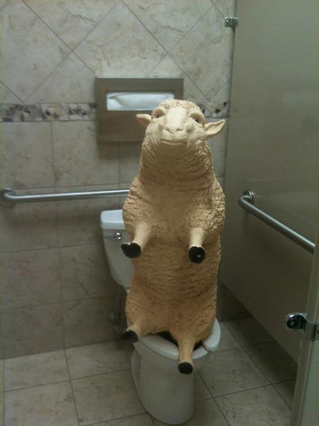 It Doesn't Make Sense (49 pics)