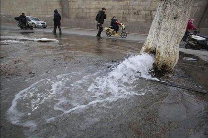 It Doesn't Make Sense (49 pics)