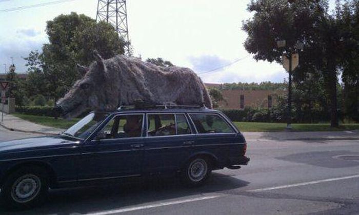 It Doesn't Make Sense (49 pics)