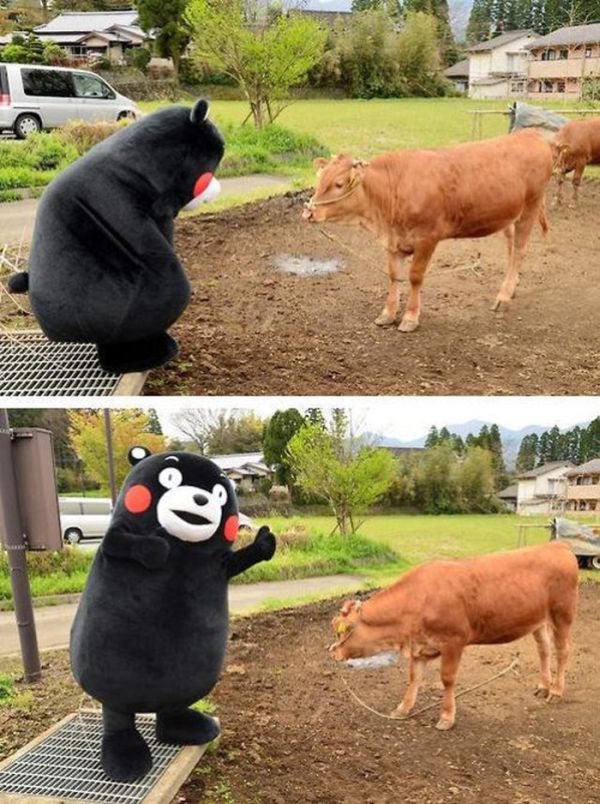 It Doesn't Make Sense (49 pics)
