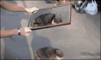 It Doesn't Make Sense (49 pics)