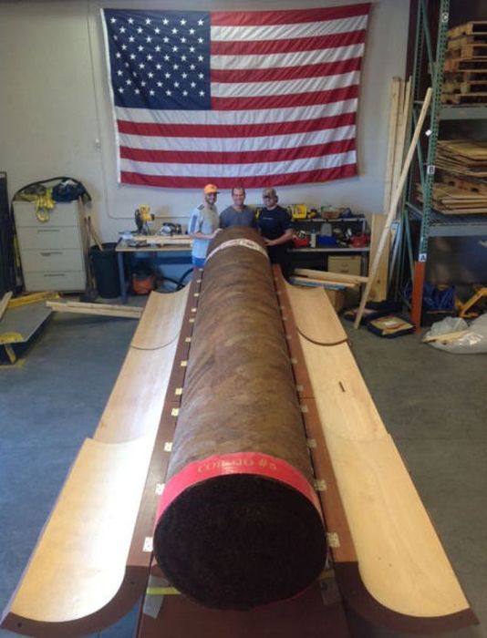 Collector Pays $185,000 for a Giant Cigar (7 pics)
