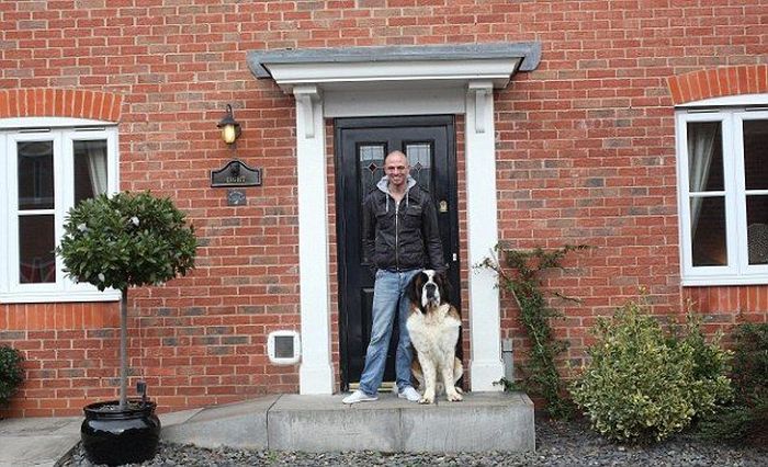 Dog Lives in a Replica of His Owner's House (10 pics)
