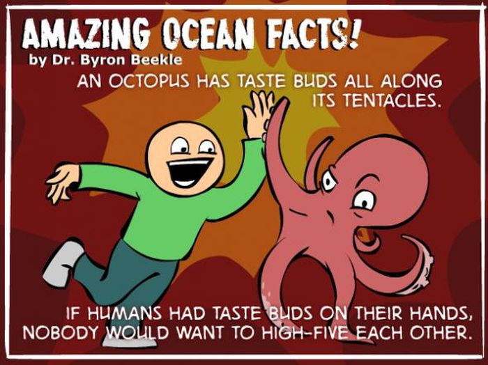 Interesting Ocean Facts (7 pics)