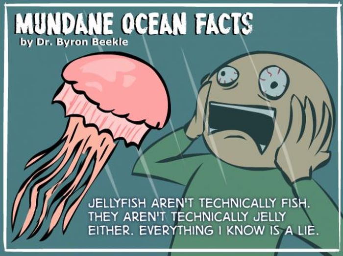 Interesting Ocean Facts (7 pics)