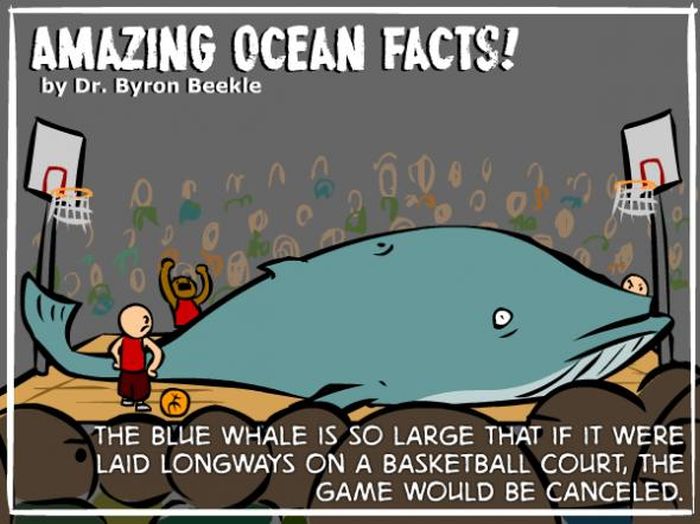 Interesting Ocean Facts (7 pics)
